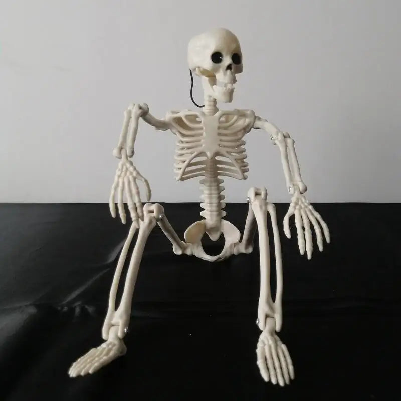 Life-Size Poseable Skeleton – Halloween Hanging Skull & Bones Prop