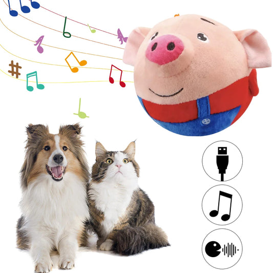 The "Chaos Buddy": Your Dog's Talking, Bouncing, Voice-Recording Best Friend