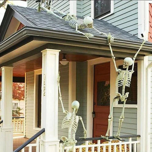 Life-Size Poseable Skeleton – Halloween Hanging Skull & Bones Prop