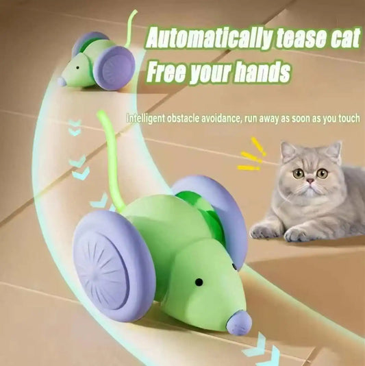 The "Mouse-Rauder" 2.0: Your Cat's SILENT, Unstoppable Robot Nemesis